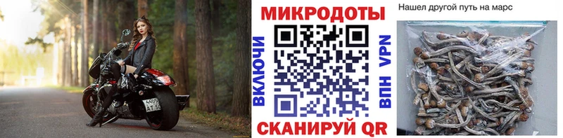 Галлюциногенные грибы Psilocybine cubensis сайты даркнета наркотические препараты Нерехта купить сайты
